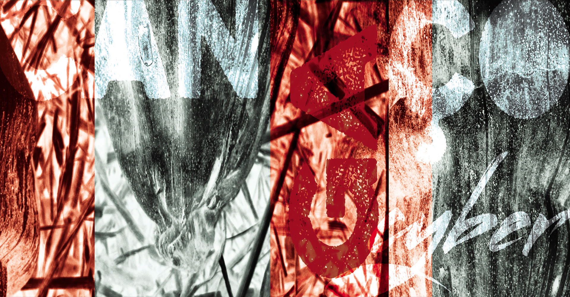 Sérgio Benevenuto — banner 3